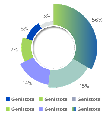 Gráfico